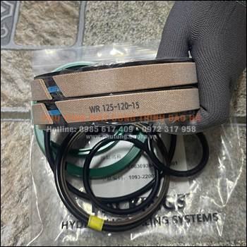 PHỚT XY LANH CHỐNG CHÂN CẨU Zoomlion 25 TẤN – HÀNG CHẤT, ĐÚNG MODEL, GIÁ TỐT