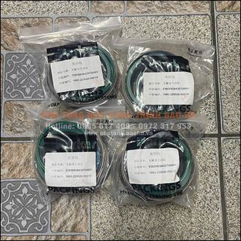 PHỚT XY LANH CHỐNG CHÂN CẨU Zoomlion 25 TẤN – HÀNG CHẤT, ĐÚNG MODEL, GIÁ TỐT