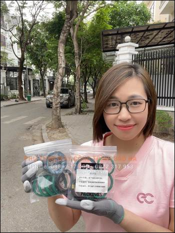 Phớt xylanh chống chân Zoomlion 50 tấn – Hàng chuẩn, giá cực sốc